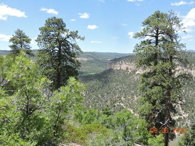 Millet Cyn, Duck Creek Village, UT, 84762