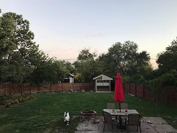 Back yard