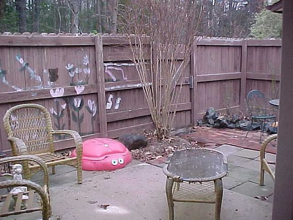 BACKYARD WITH PRIVACY FENCE