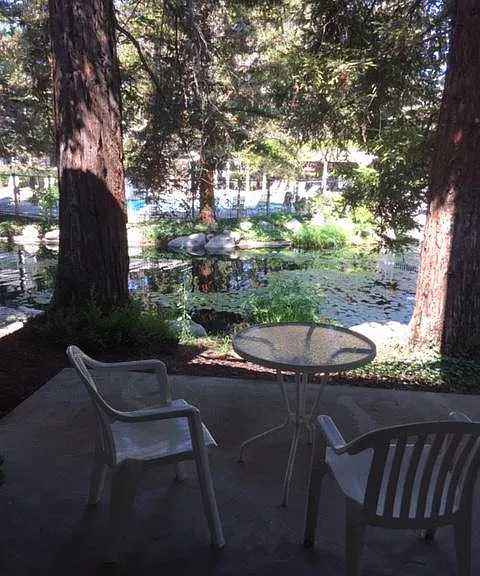 700 E Lake Dr #34 — Photo 6