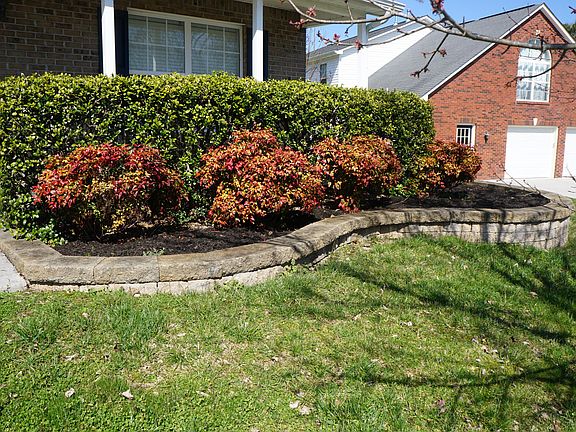 5th image of 7313 Jenkins Creek Dr