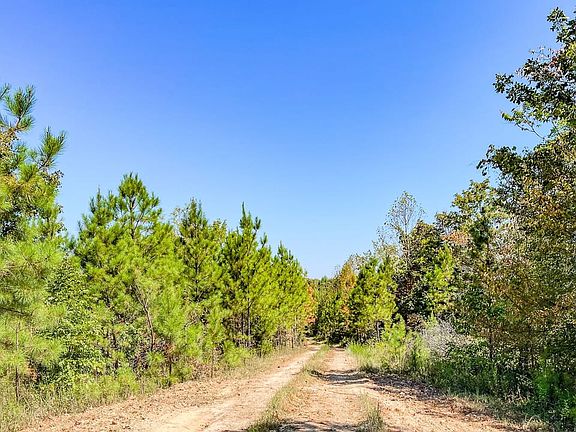Hurricane Southeast Tract 2 Tennessee 02