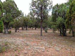 2805 Air Park Dr, Overgaard, AZ 85933