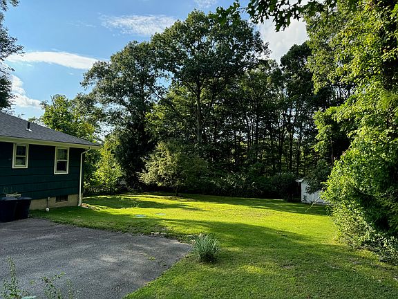 Spacious, lush back yard!
