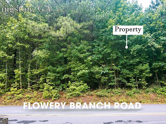 4th image of LOT 1 Flowery Branch Rd
