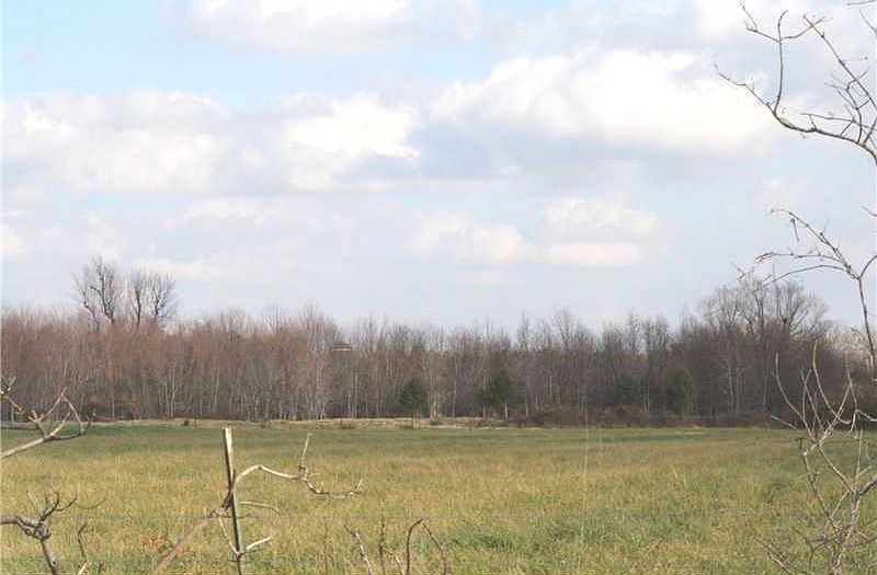 2nd image of Habberton Rd