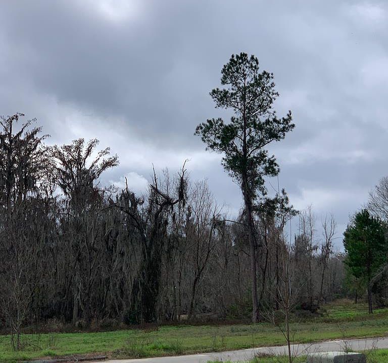 1st image of 4662 Castle Pines Ln