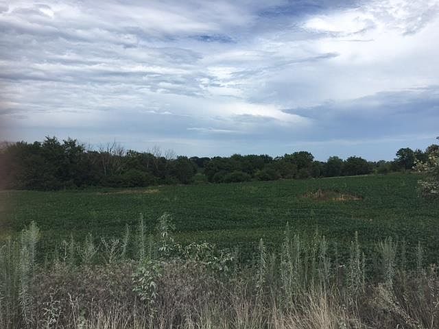 2nd image of County Line Rd