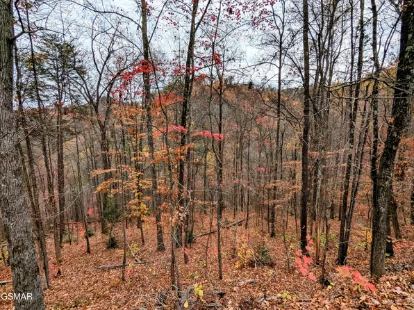 2317 Grey Fox Run Lot 12, Sevierville, TN 37862
