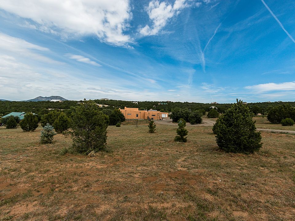 Drip irrigation to trees 