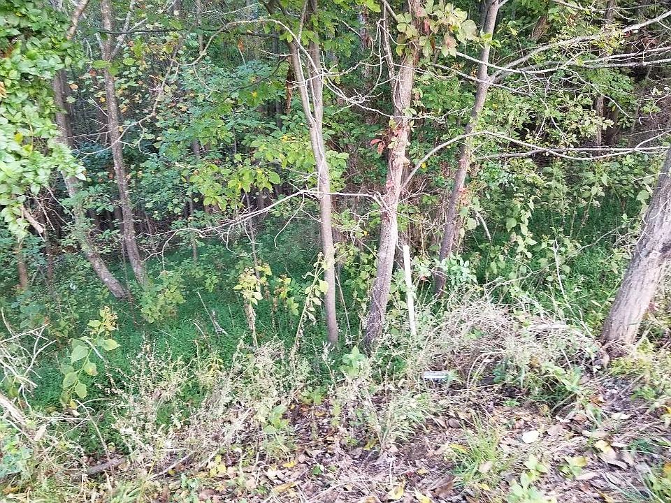2nd image of 0 Roach Rd