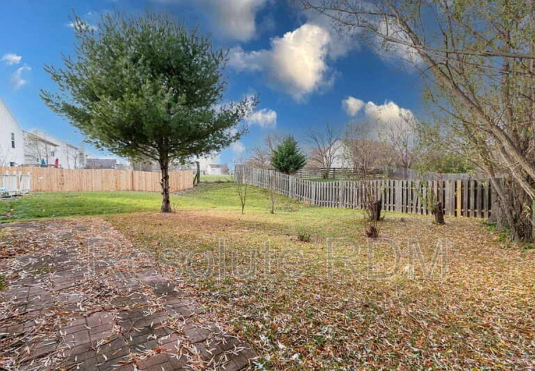 11968 Locus Ln — Photo 5