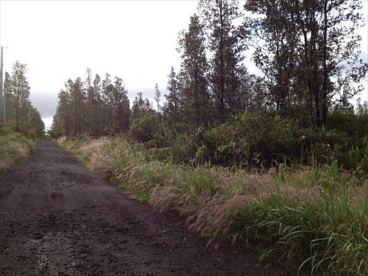 1st image of Road 9 Koloa Maoli Lot 5449