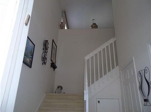 2nd image of 7899 Laina Ln APT 3