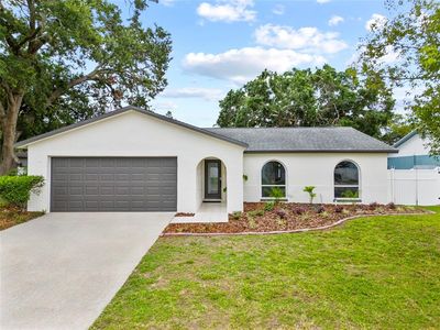 6204 Walsh Ln, Tampa, FL, 33625