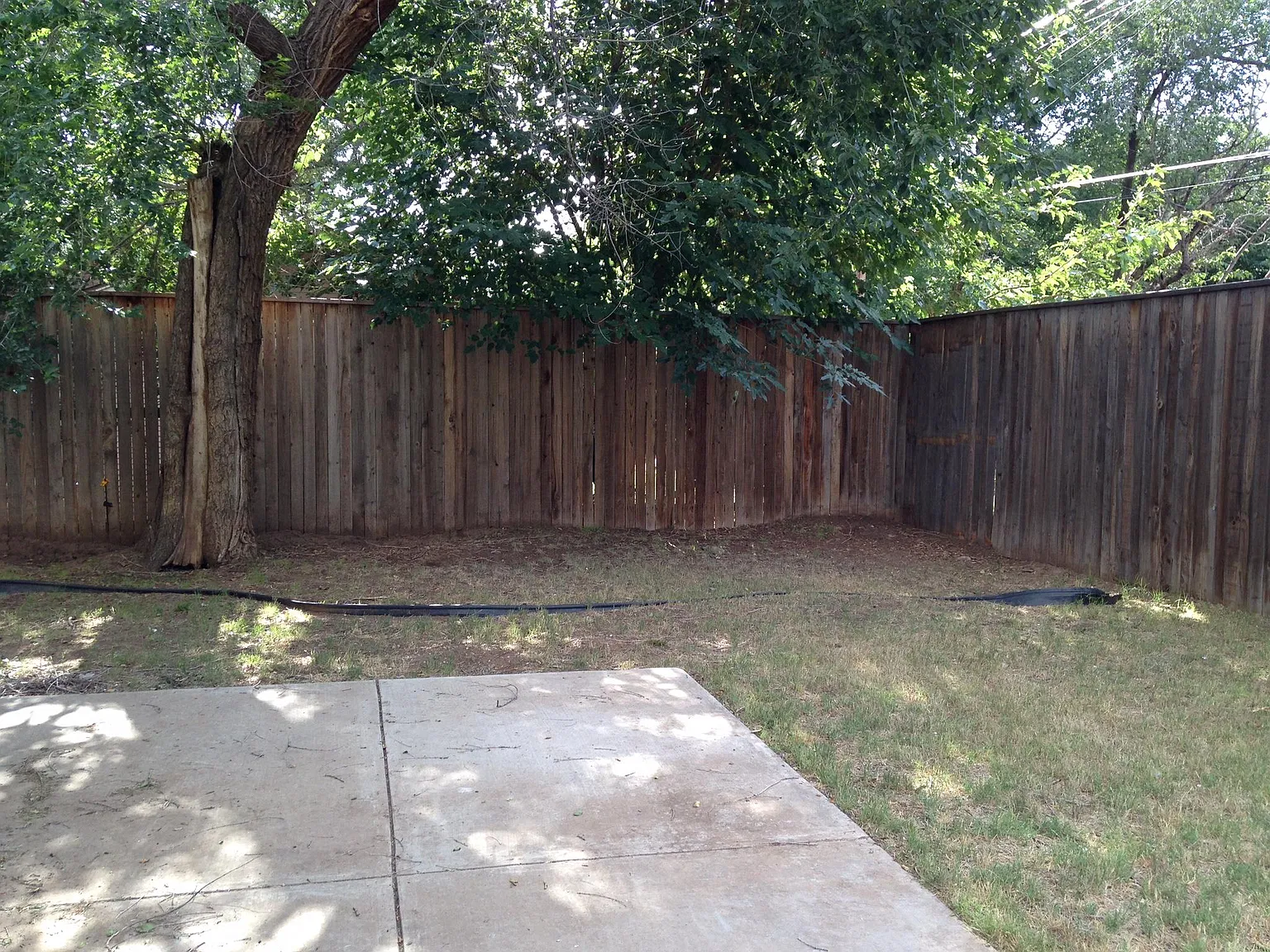 3 bed, 1600 sqft, $1,800 — Photo 4