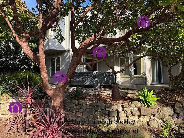 155 Farallon Ct — Photo 40
