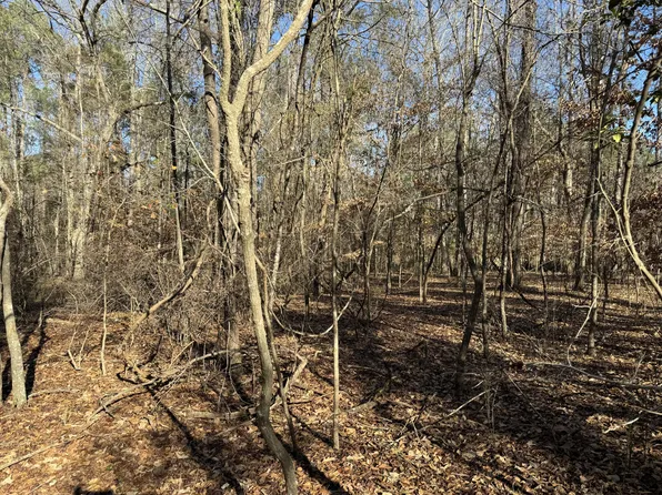 339 River Ridge Dr, Orangeburg, SC 29115