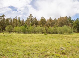 2718 Campfire Rd, Hartsel, CO 80449