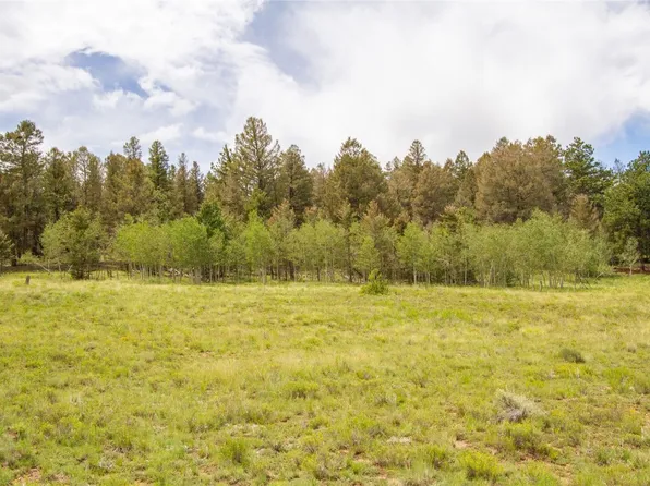 2718 Campfire Road, Hartsel, CO 80421