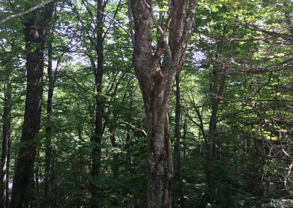1st image of TBD Moorewood Circle