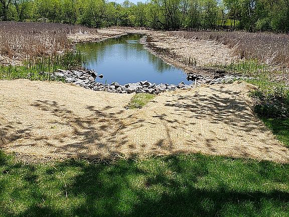 backyard creek
