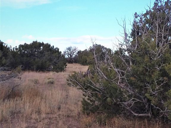 2nd image of LOT 215 Elk Valley Rnch