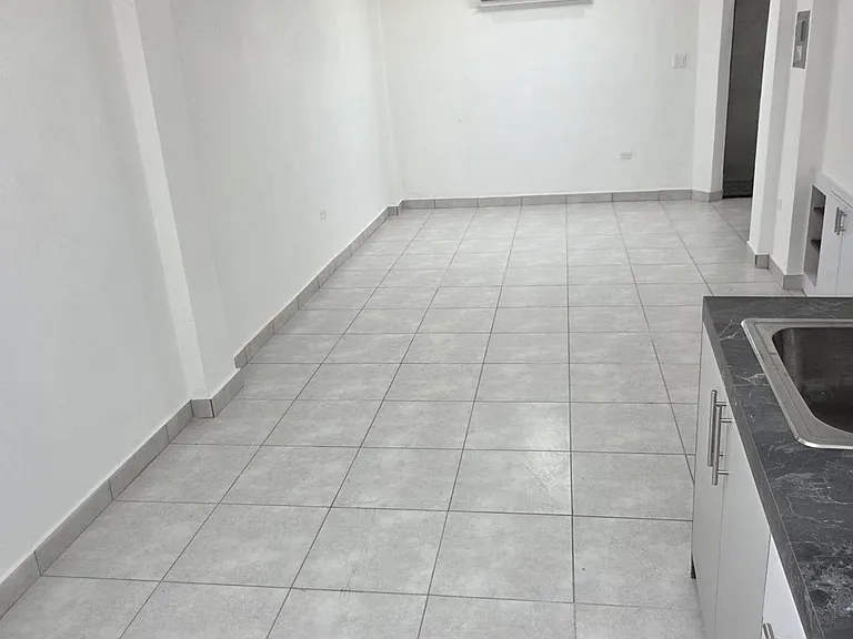 1616 Avenue Ponce De Gln #1B — Photo 3