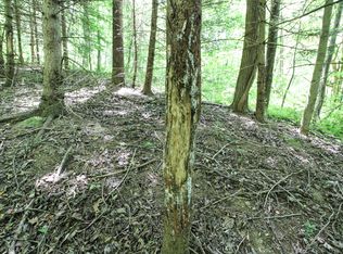 0 Pisgah Ridge Rd, McConnelsville, OH 43756