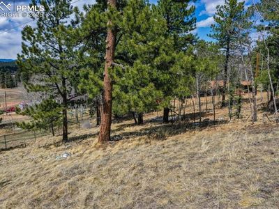 870 Will Scarlet Dr, Divide, CO, 80814