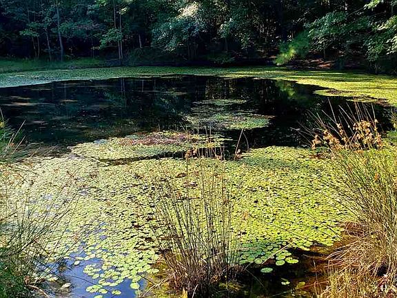 4th image of 1410 County Road 2861