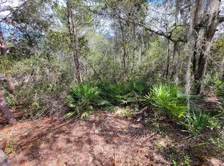 0 NE 305th Ter, Fort Mc Coy, FL 32134