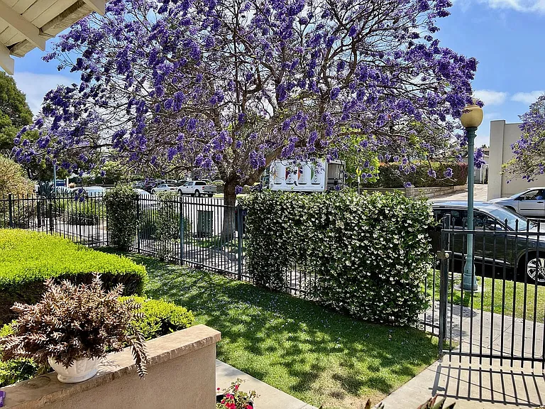 View from front porch.