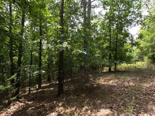 Park Rd, Rogers, AR 72756