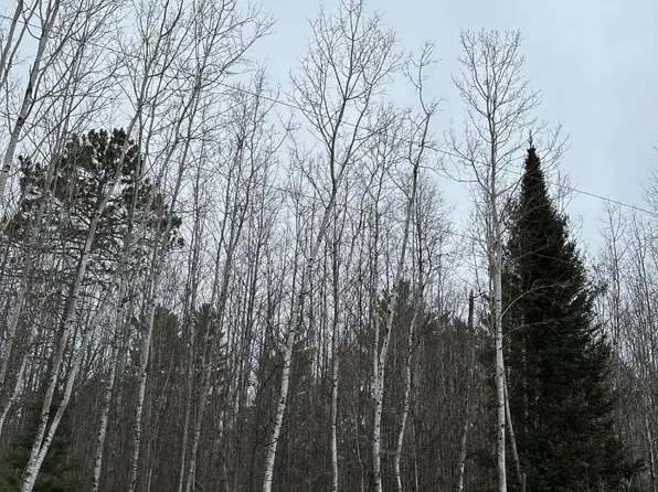 Burrows Lake Rd #4067-D, Tomahawk, WI 54487
