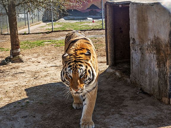 3rd image of 159 Mini Ln