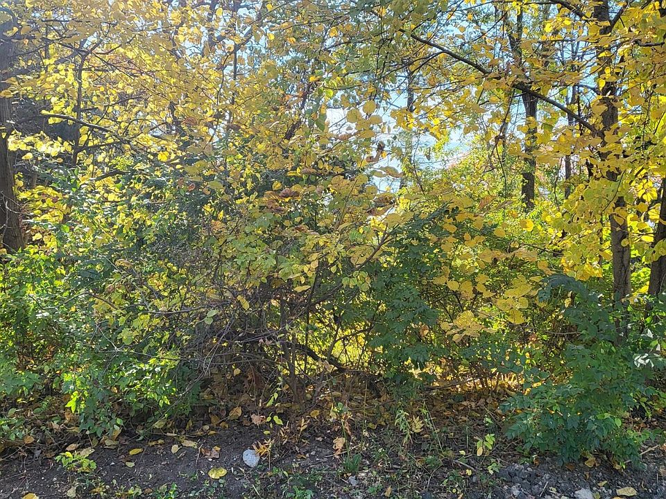 2nd image of 3.5 Chestnut Ct
