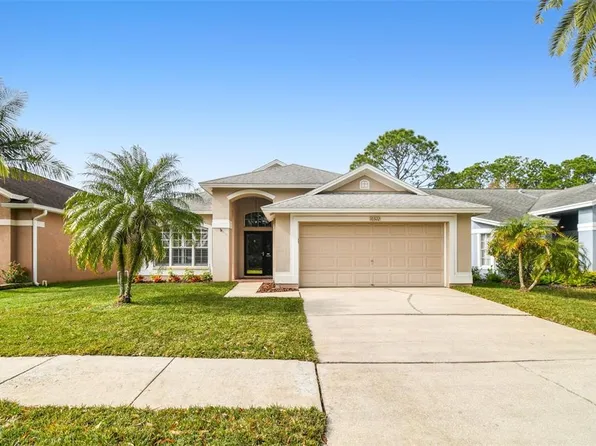 10322 Springrose Dr, Tampa, FL 33626