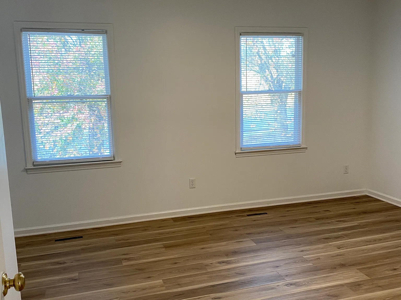 423 Franklin St — Photo 4