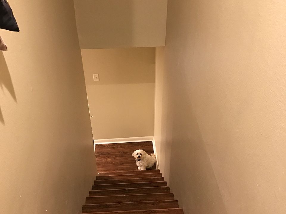 1st image of 105 Trevino St APT 2