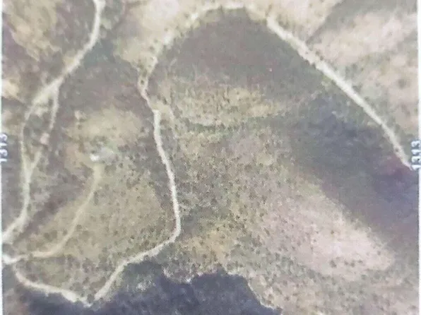 S Los Guigas Rd, Tucson, AZ 85736