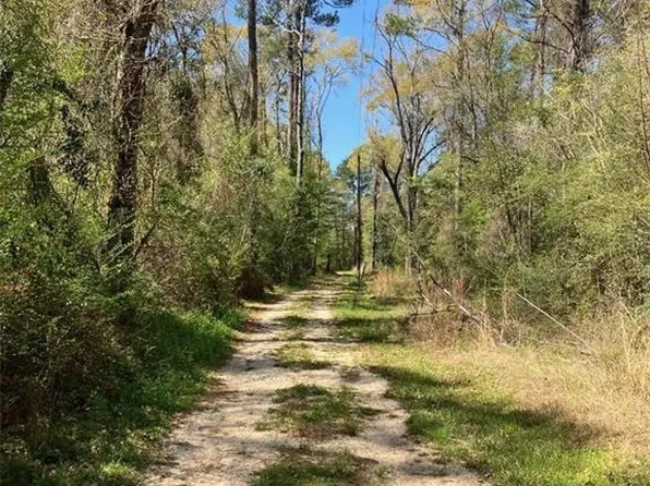 49486 Highway 16, Franklinton, LA 70438