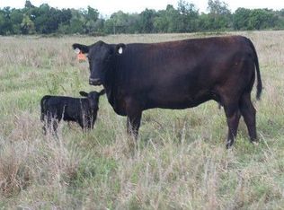 23051 E Highway 66, Chelsea, OK 74016