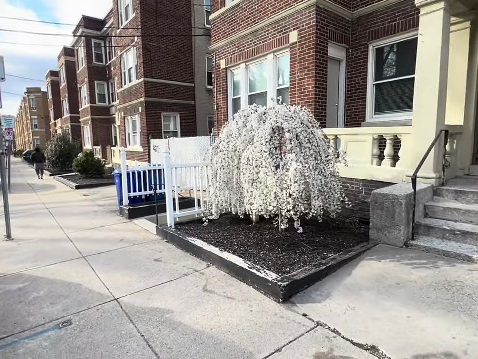 1st image of 240 Kelton St APT 1