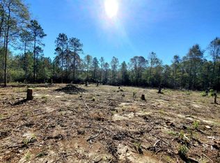 6221 County Line Rd, Holt, FL 32564