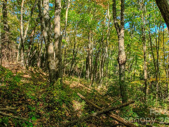 2nd image of 0 Laurel Ridge Rd N #26A