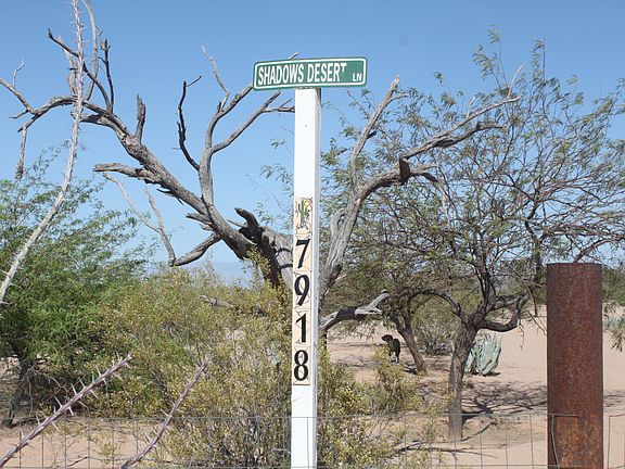 3rd image of 7918 N Shadows Desert Ln