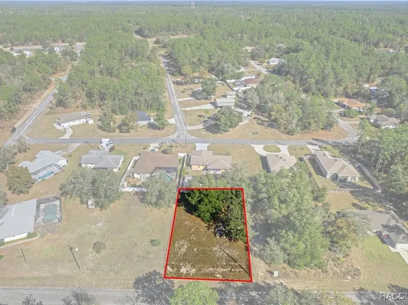 9171 N Hammond Way, Citrus Springs, FL 34434