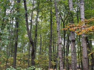 LOT 681 Elm Run, Farwell, MI 48622