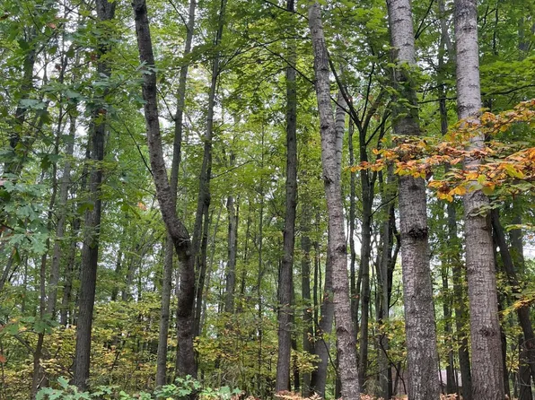 LOT 681 Elm Run, Farwell, MI 48622